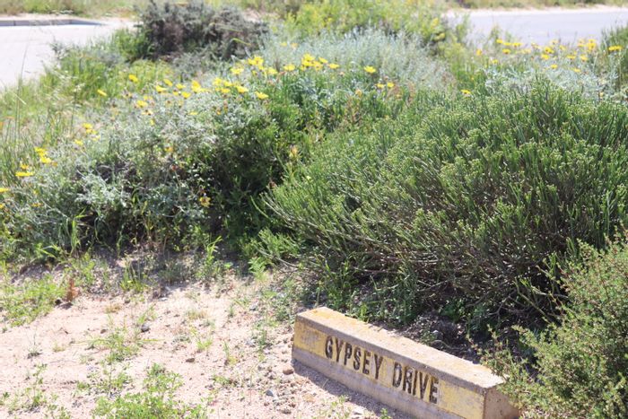 Vacant Land Residential for Sale in Steenbergs Cove - Corner Plot with Ocean Access.