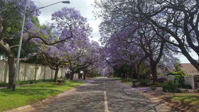 Brooklyn Flat To Rent: 2 Bedrooms, Large Balcony, All Utilities Included.