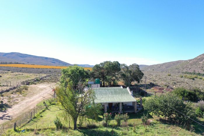 Haarlem Farm For Sale: 124 hectares of orchards, irrigation, and diverse farming opportunities.