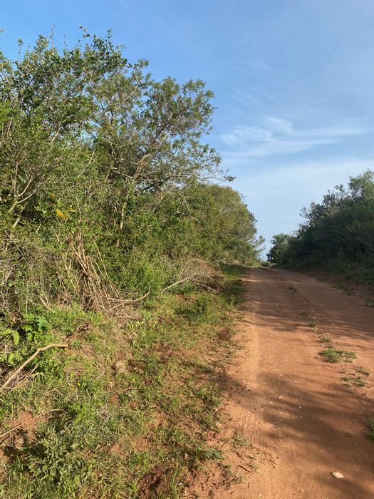 Vacant Land Residential for Sale in Bathurst Central with expansive views and potential.