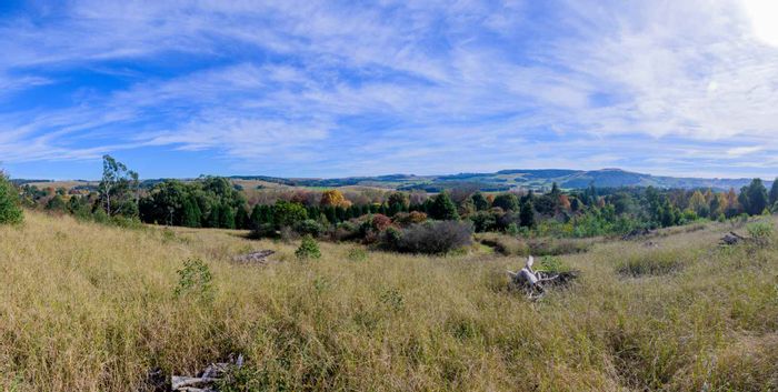 Balgowan Vacant Land Residential for Sale: Exclusive stands near Michaelhouse, green spaces.