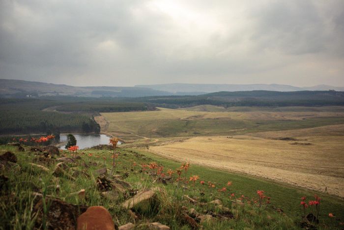 For Sale: Donnybrook farm with diverse income, water security, and hospitality facilities.