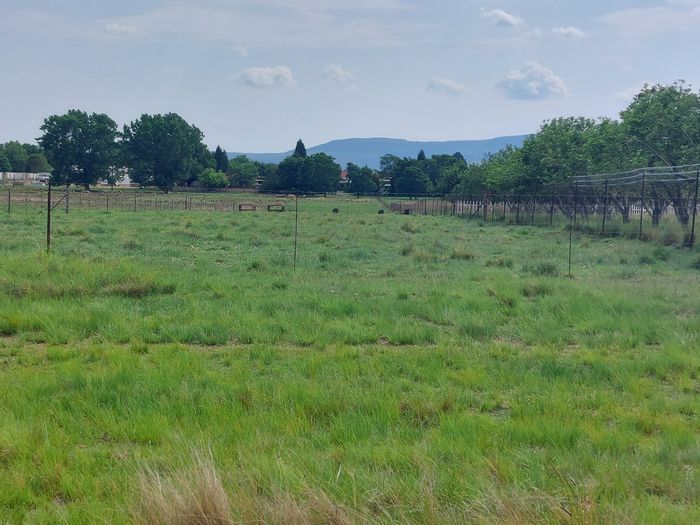 Vacant Land Residential For Sale in Memel Central, 2974 m² ready for development.