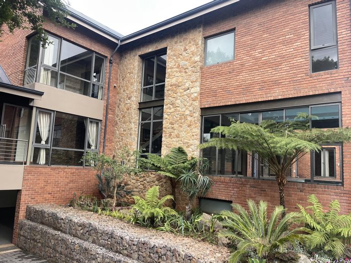 For Sale: Unique Bedfordview Central house with chef's kitchen, pool, and 12-car showroom.