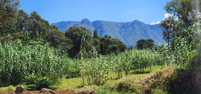 Vacant Land Residential For Sale in Swellendam Central, 1,404sqm with mountain views.