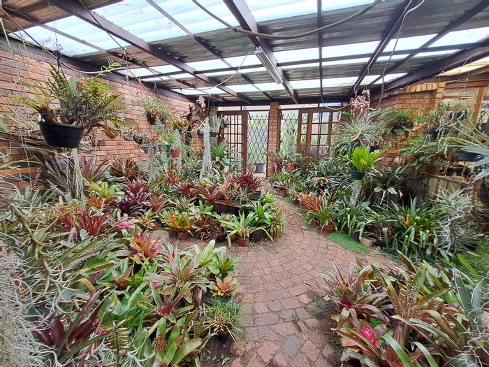 Heidelberg Central House For Sale: Versatile living, business potential, garden, sauna.