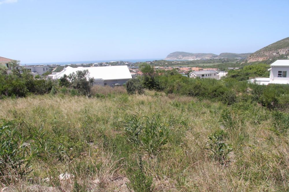 Ground level - capture a perfect view from this stand