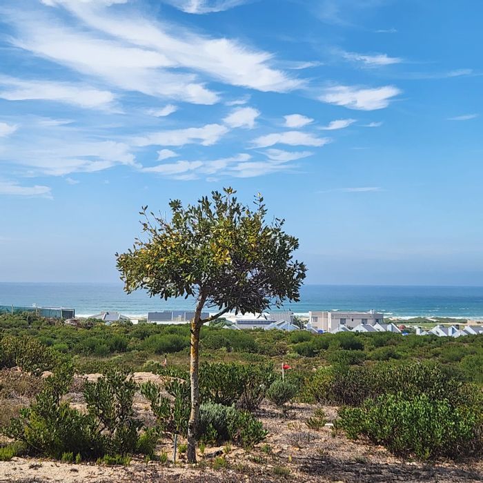 Vacant Land Residential For Sale in Stilbaai Oos, near beach and amenities.