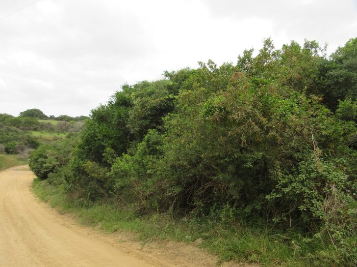 Vacant Land Residential in Bathurst Central, For Sale near amenities and stream.