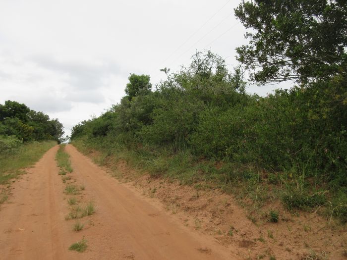Vacant Land Residential For Sale in Bathurst Central, 2141 m², ideal for gardening.