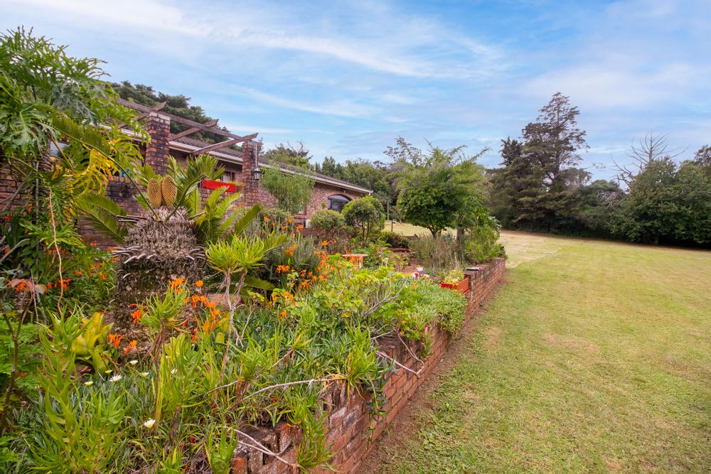 The thicket and Pine Trees in the background also form part of the property.