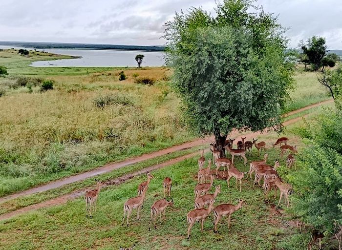 For Sale: House in Vaalkop AH with dam views, Eco Estate, and nature trails.