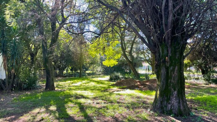 Rynfield Small Holding For Sale: 3 beds, 1 bath, zoned for development.