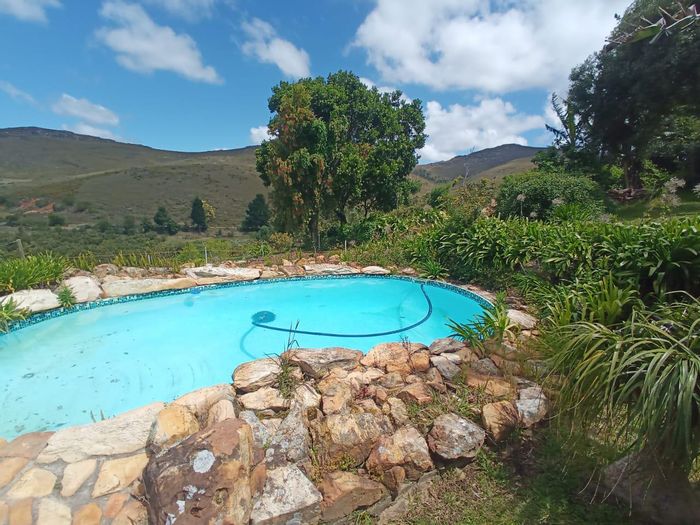 For Sale: 8.9-hectare farm in Herbertsdale with cottages, pool, and macadamia trees.