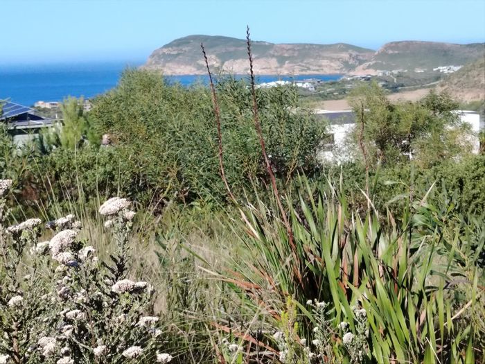 Robberg Ridge: For Sale - Vacant Land Residential with ocean views and plans included.