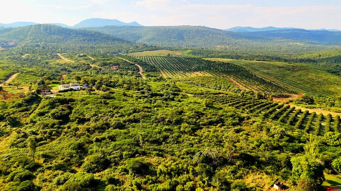 Vacant Land Residential for Sale in Louis Trichardt Central, 6 hectares with rezoning potential.