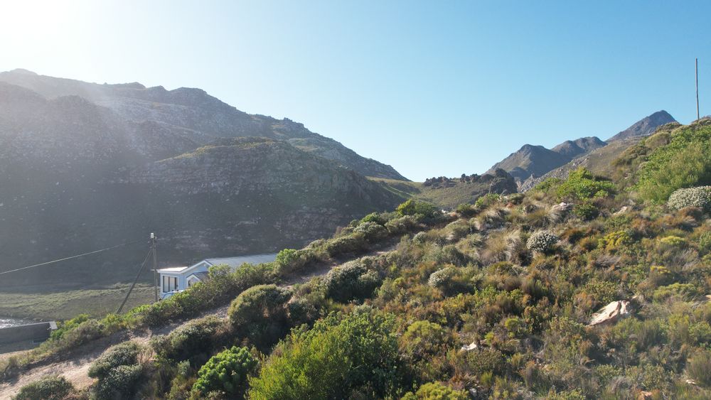 Views towards the estuary, across River View road