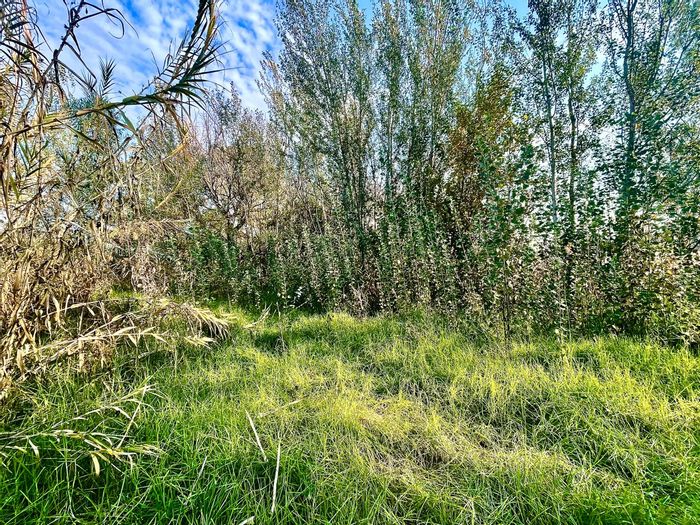 Parys Central: For Sale - 7761m² Vacant Residential Land, close to amenities and Vaal River.