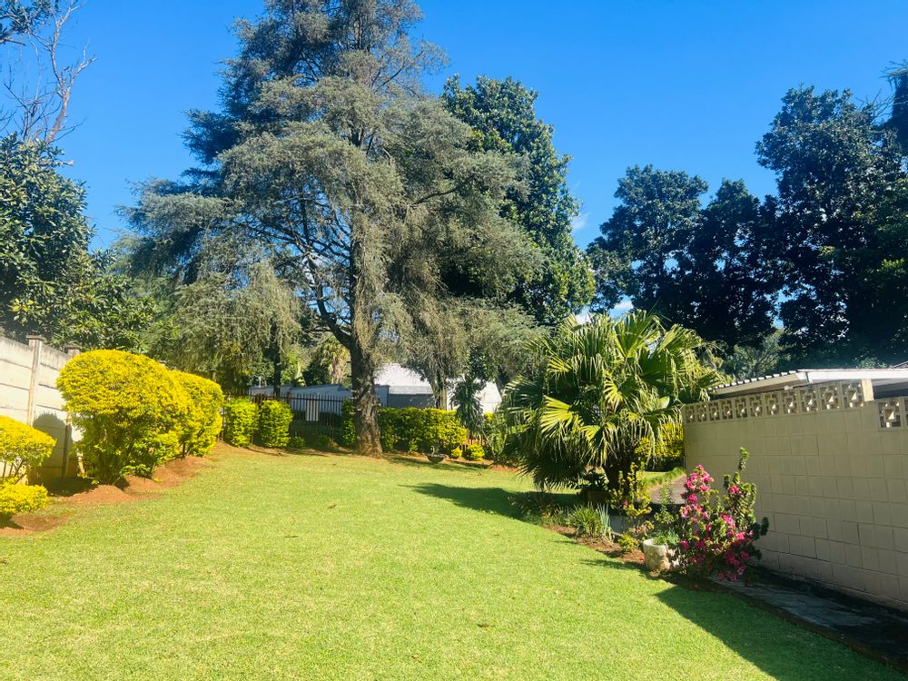 Side Garden