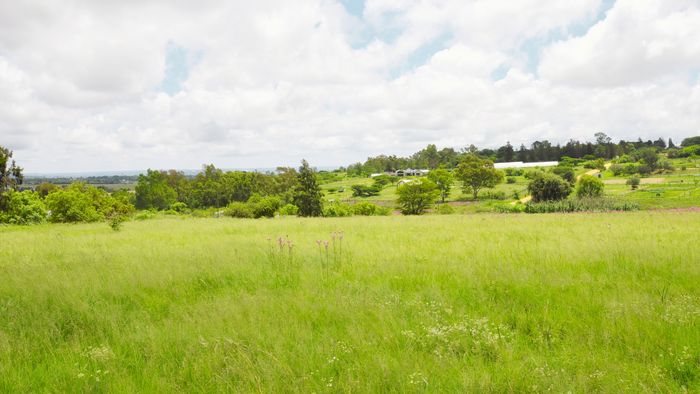 Vacant Land Residential For Sale in Sun Valley with Views and Wildlife.