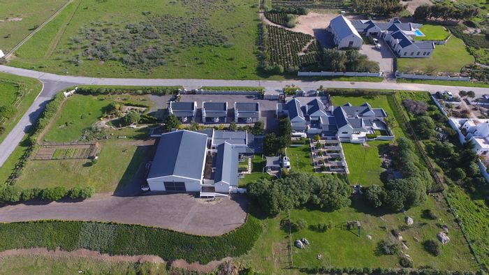 Olifantskop Small Holding For Sale: 9 bedrooms, income potential, nature reserve access.