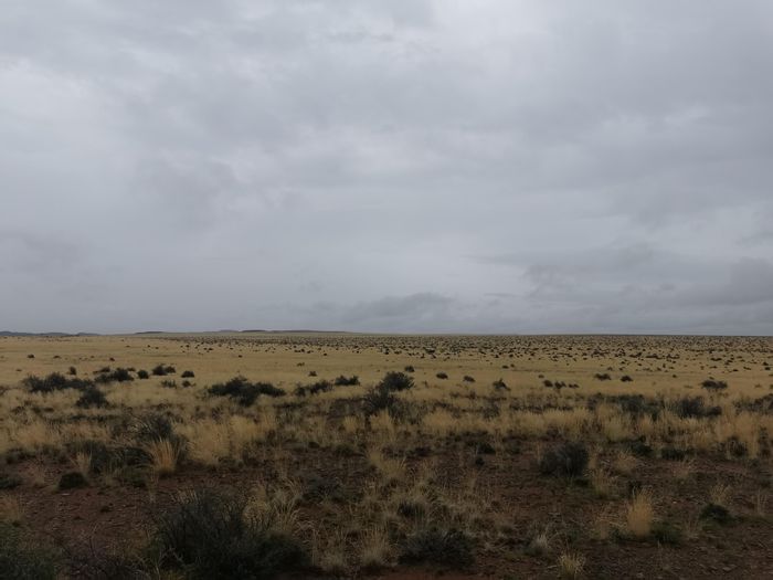 For Sale: Farm in Williston Central with 11 camps, boreholes, and sturdy house.