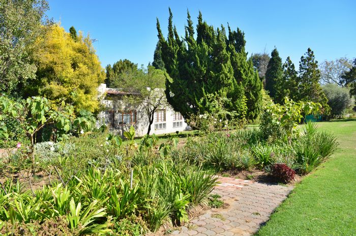 For Sale: Beaulieu House with two dwellings, equestrian potential, and large stand.