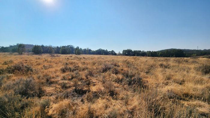 Vacant Land Residential For Sale in Bothaskraal AH - 1-hectare stand with potential.