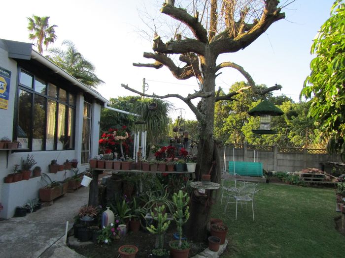 House for Sale in Humansdorp Central: 3 beds, enclosed stoep, dual Braai spaces.