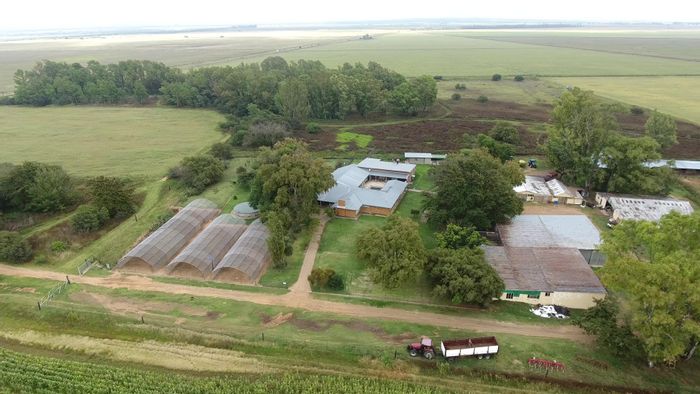 For Sale: Spacious 6-bedroom farm in Ventersburg Rural with extensive amenities.