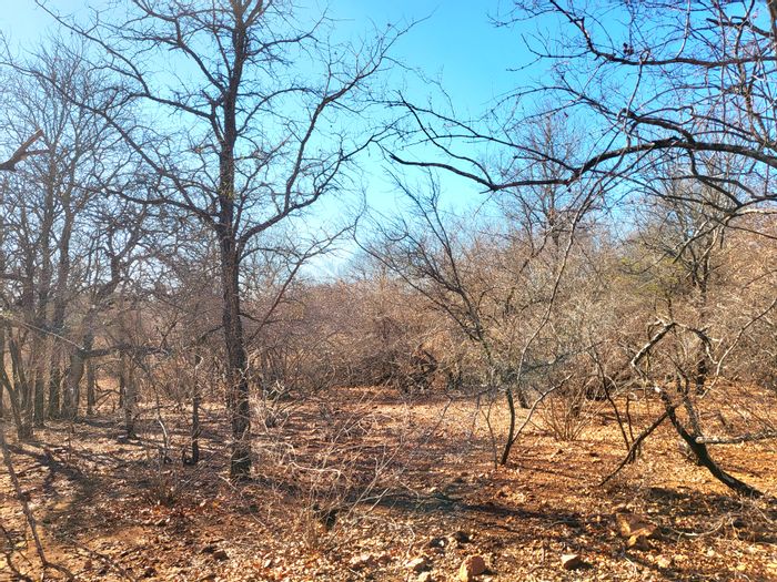 Vacant Land Residential in Marloth Park Central For Sale, 1500 m² with parkland views.