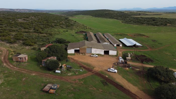 Riversdale Rural Farm For Sale: 988 hectares, water supply, multiple buildings, income potential.