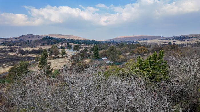 Hartzenbergfontein Small Holding For Sale: 15 hectares with diverse agricultural potential.