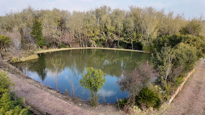 Hartzenbergfontein Small Holding For Sale: Income-Generating Cottages, Borehole, and Dam.