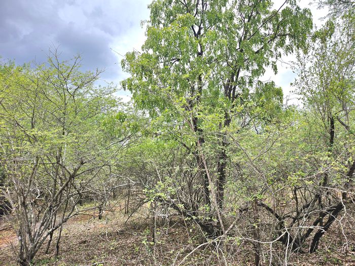 Vacant Land Residential For Sale in Marloth Park Central, 1585 m² near Kruger.