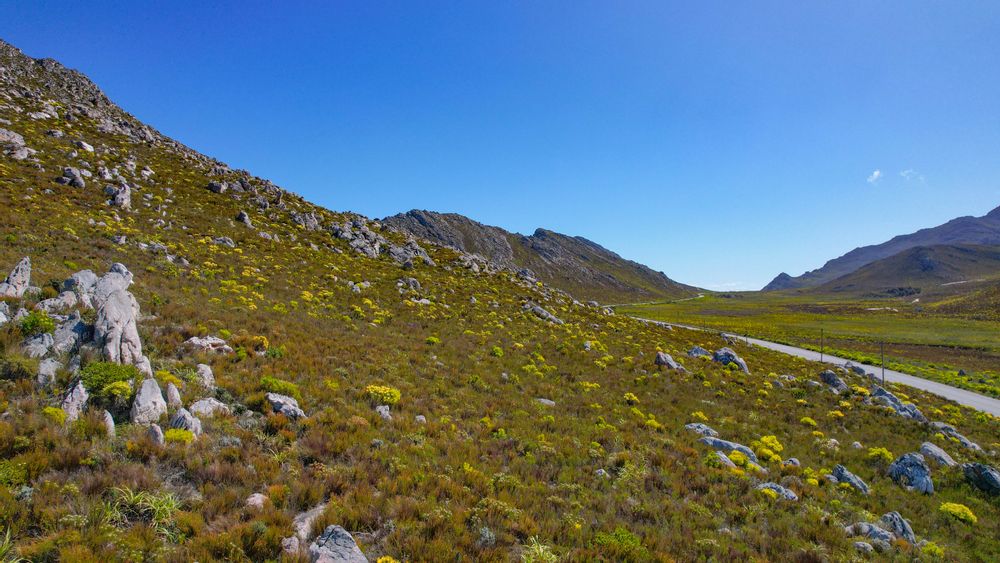 Lower slopes, showing the land for sale