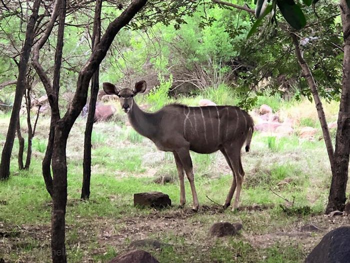 For Sale: House in Lephalale Central with share ownership, river access, and amenities.