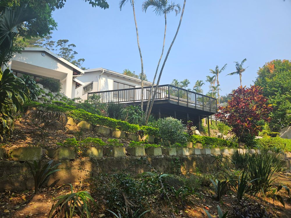 View from back of house up