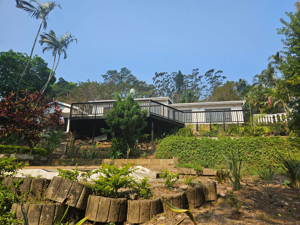 View from garden up to house