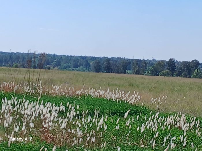 Vacant Land Residential for Sale in Vaalpark - 2090 m², near river and amenities.