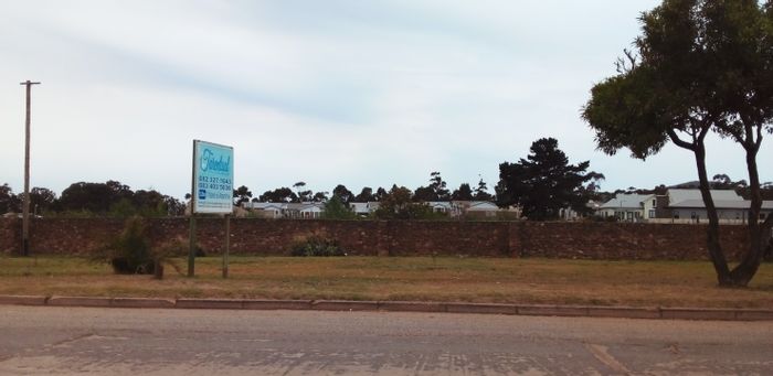 Vacant Land Residential For Sale in Albertinia Central, 5271 m² with growth potential.