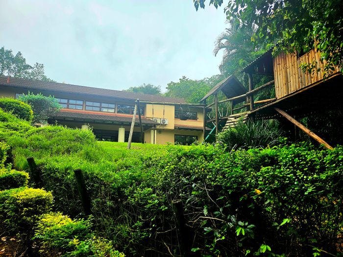 For Sale: Spacious 4-bedroom house in Westville with pool and study.