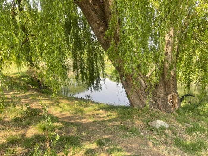 3.3ha Riverfront Vacant Land in Olifantsvlei – For Sale, Near Waterstone College