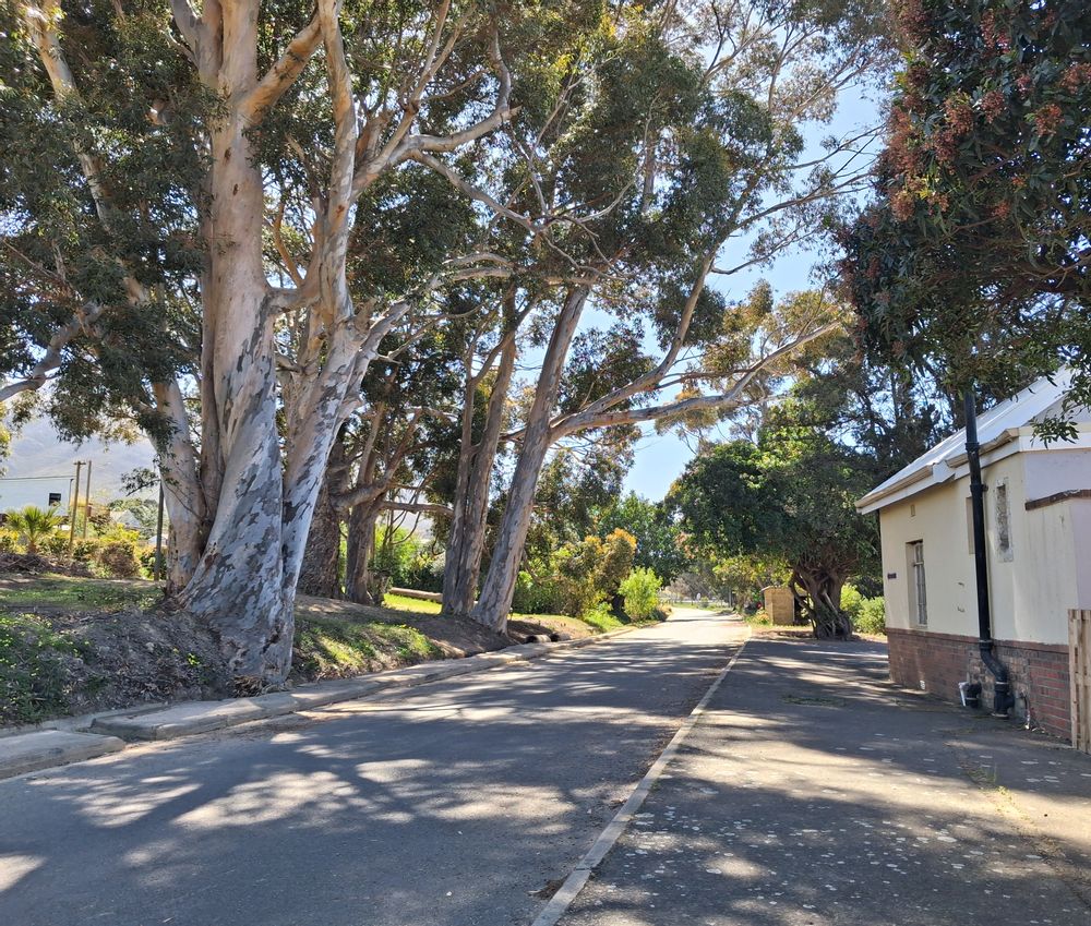 Where the train stops