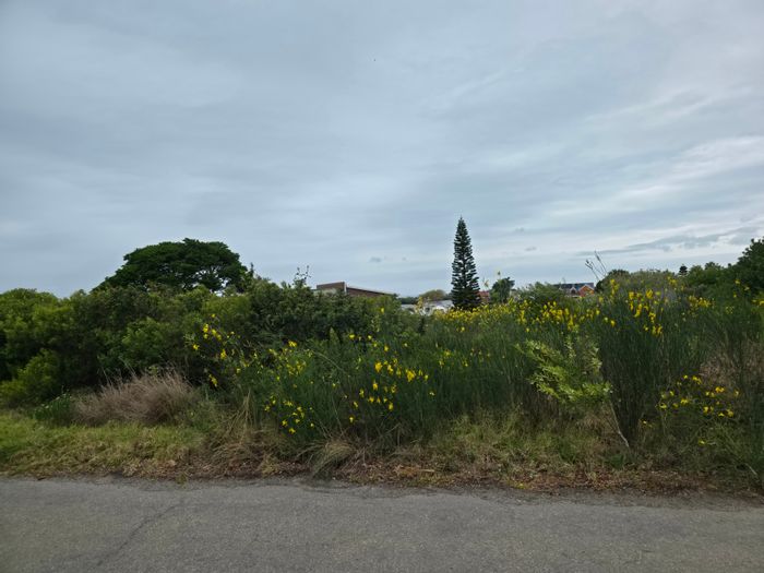 Vacant Land Residential in Noorsekloof For Sale: Corner stand with ocean views.