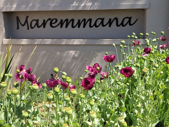 House For Sale at Maremmana Estate: Scenic views, open-plan kitchen, outdoor entertainment.