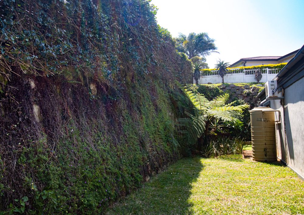 Back garden with JoJo water tank