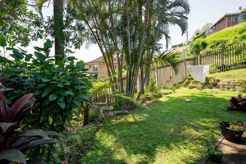Garden from the lounge and kitchen