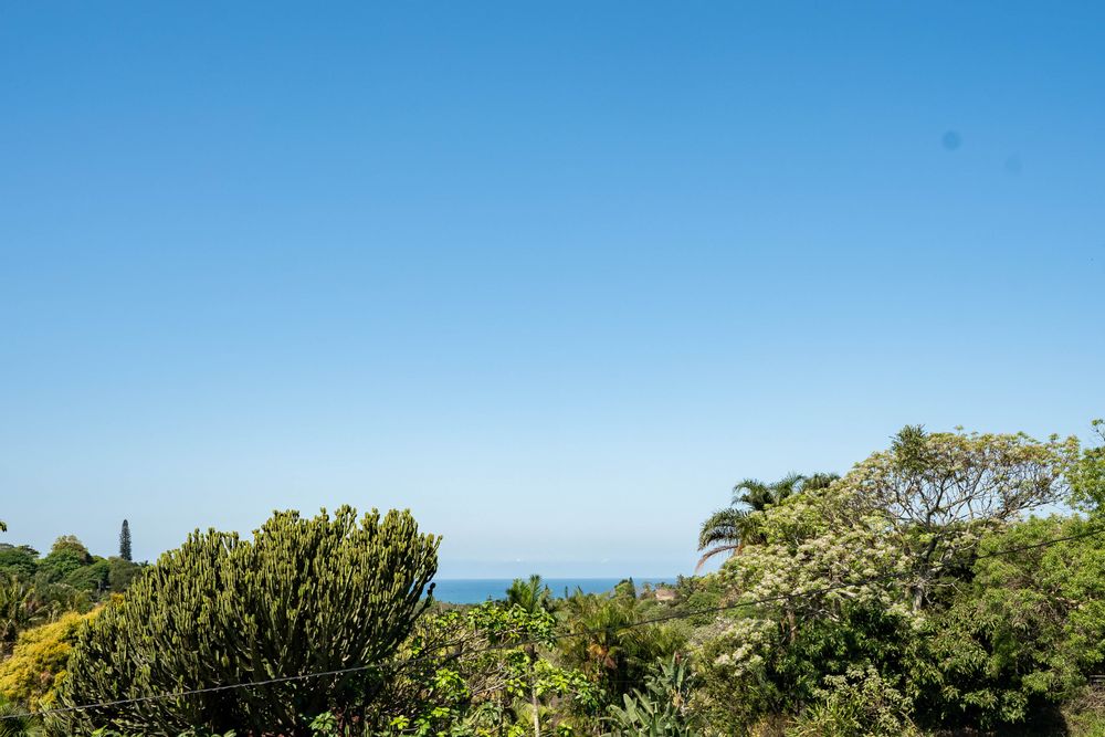 Views from deck & balcony