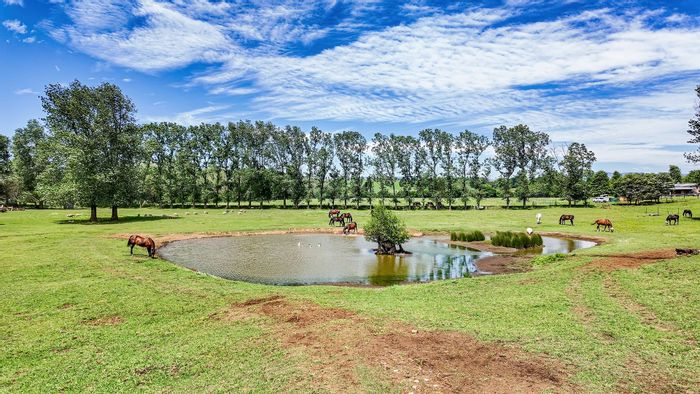 Dargle Small Holding For Sale: 3 beds, stables, riverfront, off-grid living.